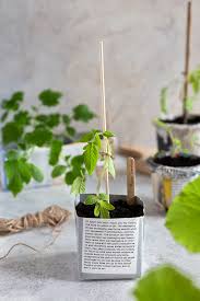Free Diy Seed Starter Pots With