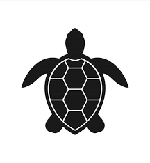 Turtle Decal For Your Car Truck Bumper