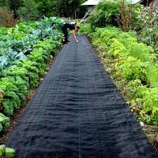 3 Ft X 50 Ft Premium Weed Barrier Fabric Heavy Duty Weed Barrier Landscape Fabric