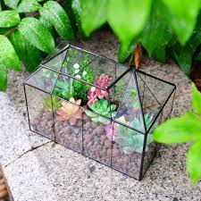 Create A Mini House Terrarium Garden
