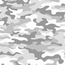 Gray And White Camouflage Pattern Craft