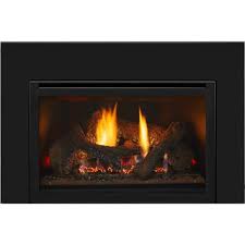 Heat Glo Fb In S Fireplace Gas Insert