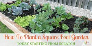 How To Plant A Square Foot Garden Today