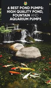 6 Best Pond Pumps High Quality Pond