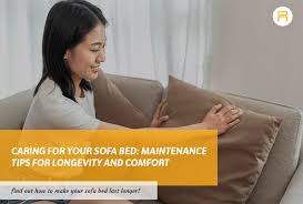 Caring For Your Sofa Bed 9 Maintenance