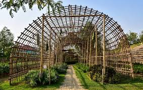 Vegetable Sheds Made Of Wood And Bamboo
