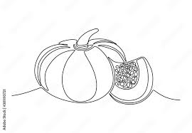 Line Drawing Of Round Organic Pumpkin