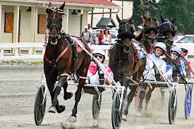 Harness Horse Racing Track Goshen