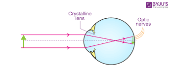 Refraction Of Light Spherical Lenses