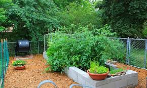 Diy Raised Bed Using Concret Blocks