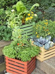 Enjoy A Vegetable Container Garden