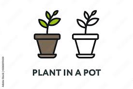 Green Plant In A Pot Garden Interior
