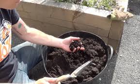 How To Mulch Your Garden Reduce Weeds