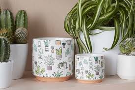 Hofland Plant Icon Pot