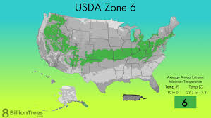 Planting Zones Guide Usda Hardiness