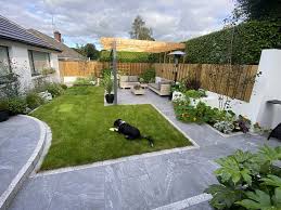 Belmont Garden Belfast Nigel Jamison