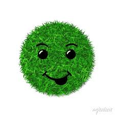 Green Grass Circle Field 3d Face Smile