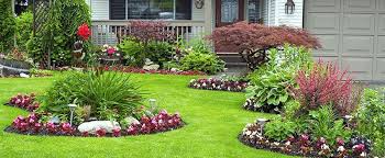 Garden Ideas To Improve Your Front Yard