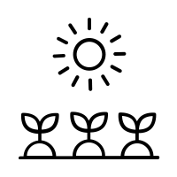 Vegetable Garden Icon Free Png Svg
