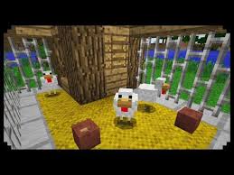 Building A En Coop Minecraft Diy