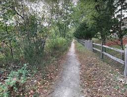 Broad Meadow Brook Trails Great Runs