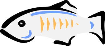 Glassfish Wikipedia