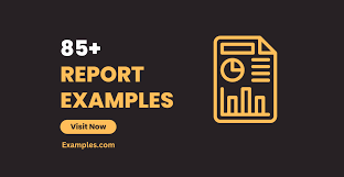 Report 85 Examples Pdf Examples