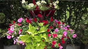 Large Flower Pot With Pink Red And