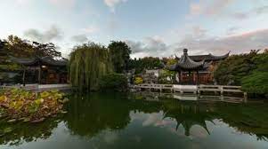Chinese Garden Stock Footage