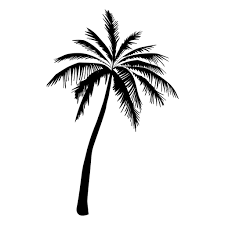Palm Tree Silhouette Tree Png Svg