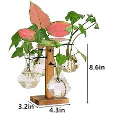 Eveage 4 3 In Plant Propagation Stations Terrarium With Wooden Stand Desktop Glass Bulb Plant Vase