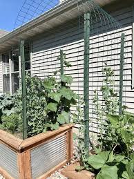 Diy Garden Trellis Arch For Cucumbers