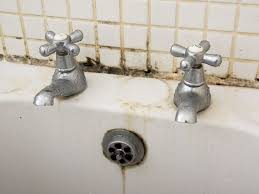 Unsightly Mould From Tile Grout