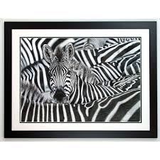 Lost In A Crowd Zebra Wildlife Art