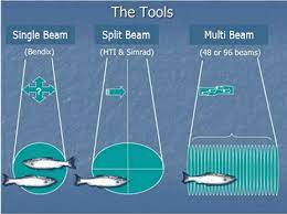 sonar tools didson alaska fisheries