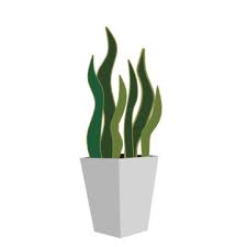 Indoor Plants Png Vector Psd And
