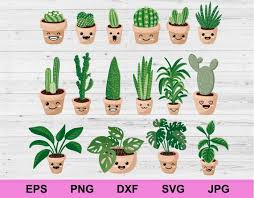 House Plants Cactus Potted Set Of