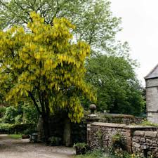 Biggin Hall Country House Hotel