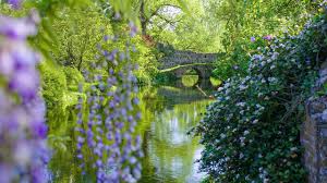 Garden Defined By The New York Times