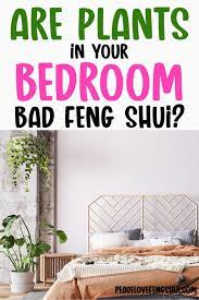 Feng Shui Plants In Bedroom 8 Do S And