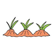 Garden Bed Hand Drawn In Doodle Style