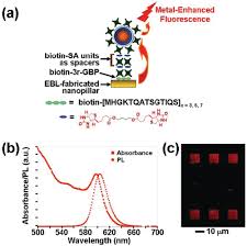 Hybrid Semiconductor Nanoparticles π