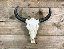 Wall Sculpture Buffalo Skull Animal