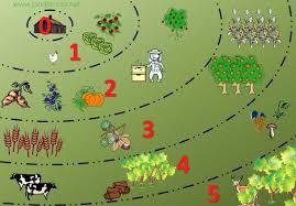 Permaculture Zones On 1 8 Of An Acre