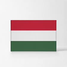 Hungary Flag Canvas Or Metal Wall Art