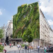 Of Aboukir Green Wall By Patrick Blanc