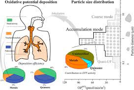 Lung Deposited Particles