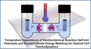 Electrochemical Reaction Thermodynamics