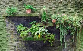 Tips On Setting Up A Vertical Garden In