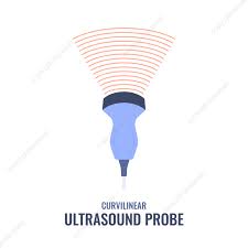 Curvilinear Ultrasound Probe